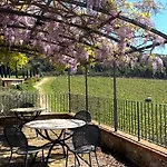 Podere Sole Trequanda