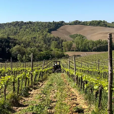 Podere Sole Alojamento de Acomodação e Pequeno-almoço Trequanda
