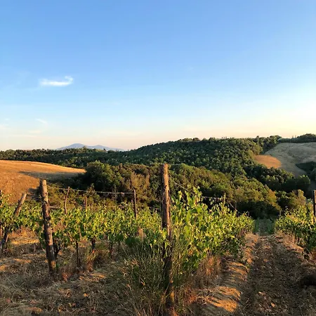 Podere Sole Trequanda