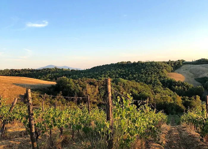 Podere Sole Trequanda